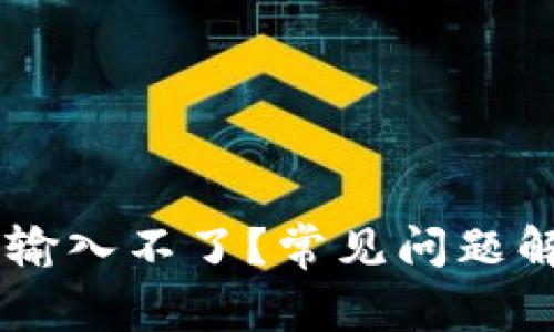BK钱包为什么输入不了？常见问题解析与解决方案