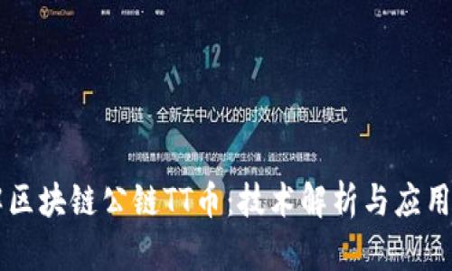 了解区块链公链TT币：技术解析与应用前景