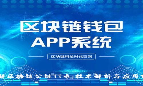 了解区块链公链TT币：技术解析与应用前景