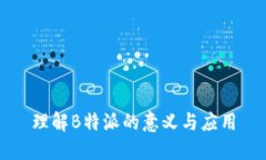 理解B特派的意义与应用