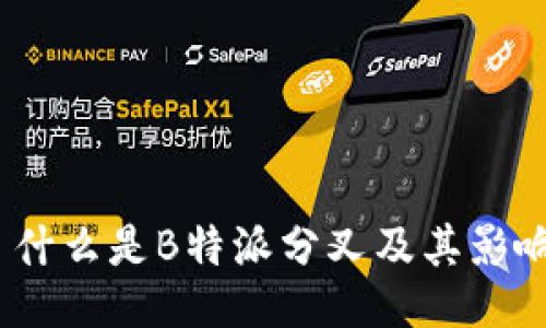 : 什么是B特派分叉及其影响？