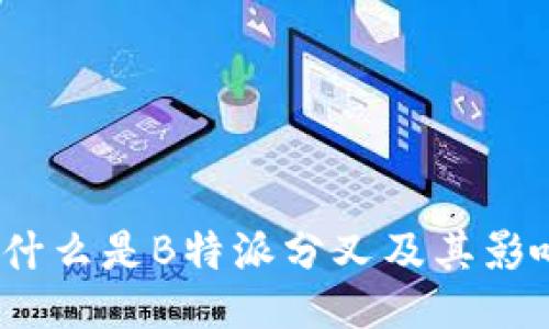 : 什么是B特派分叉及其影响？