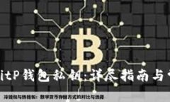 : 如何开启BitP钱包私钥：详尽指南与常见问题解