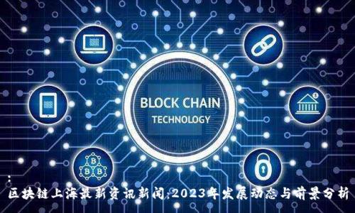 :
区块链上海最新资讯新闻：2023年发展动态与前景分析
