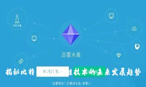 揭秘比特币与区块链技术的未来发展趋势