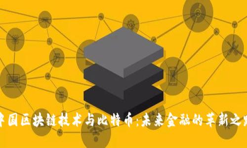 中国区块链技术与比特币：未来金融的革新之路