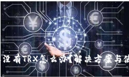 : b特派没有TRX怎么办？解决方案与使用技巧