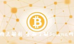 SOL币的区块链特点解析：
