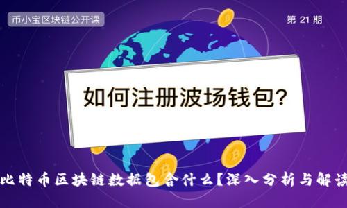 比特币区块链数据包含什么？深入分析与解读