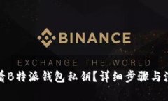 如何查看B特派钱包私钥？