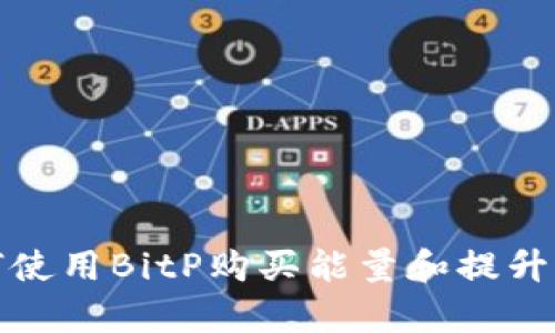 如何使用BitP购买能量和提升效率