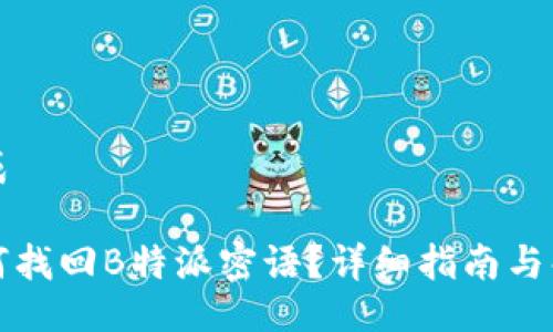 生成

如何找回B特派密语？详细指南与解答