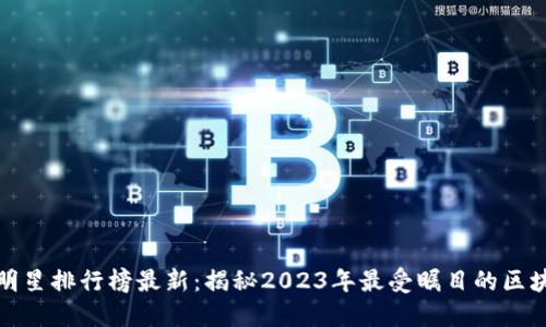 十大区块链明星排行榜最新：揭秘2023年最受瞩目的区块链领军人物