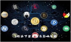 b特派下架原因与影响分析