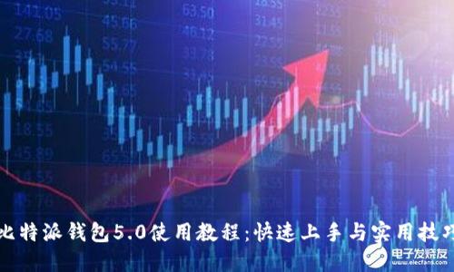 比特派钱包5.0使用教程：快速上手与实用技巧