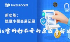 BitPie官网打不开的原因与解决方法