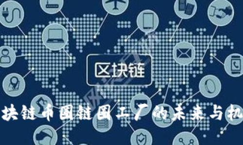 区块链币圈链圈工厂的未来与机遇