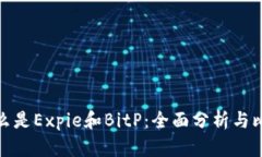什么是Expie和BitP：全面分