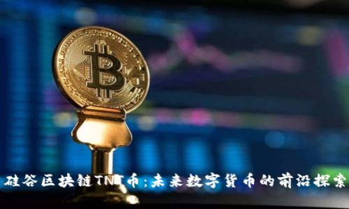 硅谷区块链TNT币：未来数字货币的前沿探索