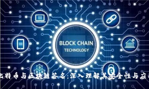 比特币与区块链签名：深入理解其安全性与应用