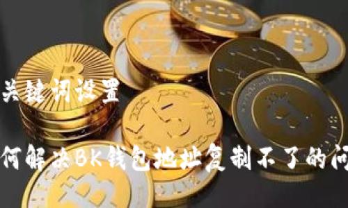 与关键词设置

如何解决BK钱包地址复制不了的问题