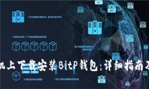 如何在安卓手机上下载安装BitP钱包：详细指南及常见问题解答