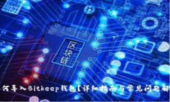 如何导入Bitkeep钱包？详细指南与常见问题解答