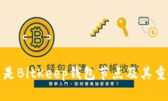 什么是BitKeep钱包节点及其重要性