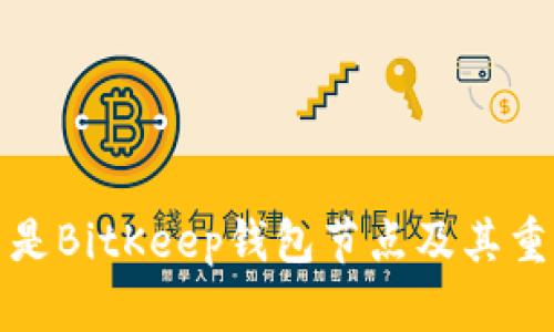 什么是BitKeep钱包节点及其重要性