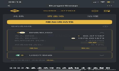 2023年最受欢迎的区块链币全面解析