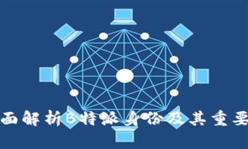 全面解析B特派身份及其重要性
