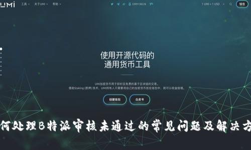 如何处理B特派审核未通过的常见问题及解决方案