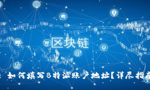: 如何填写B特派账户地址？详尽指南