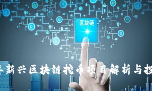 2023年新兴区块链挖币项目解析与投资指南