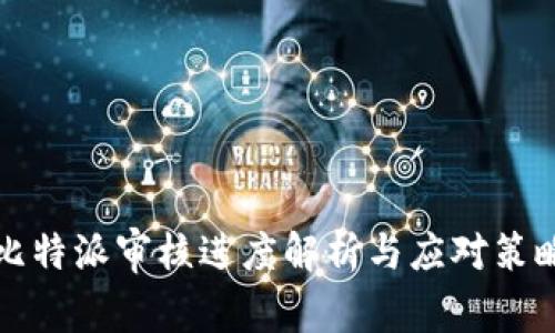 比特派审核进度解析与应对策略