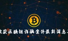 安徽破获区块链诈骗案件最新消息及分析