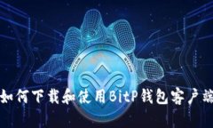 如何下载和使用BitP钱包客户端