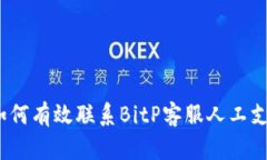 : 如何有效联系BitP客服人工支持？
