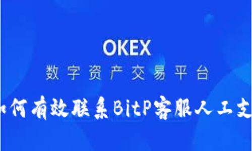 : 如何有效联系BitP客服人工支持？