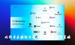 比特币区块链双花风险解析及应对策略