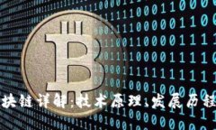 : 加密币区块链详解：技术原理、发展历程与未来
