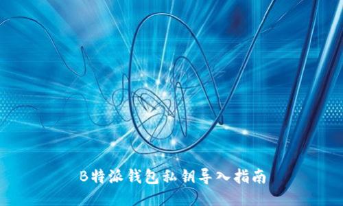 B特派钱包私钥导入指南