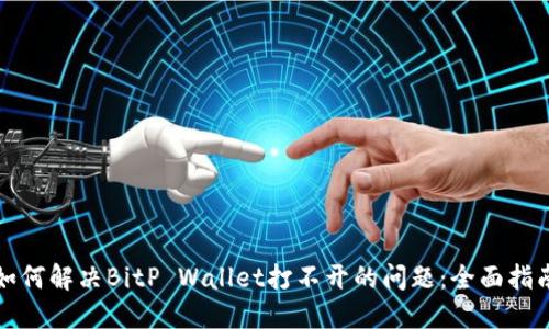 如何解决BitP Wallet打不开的问题：全面指南