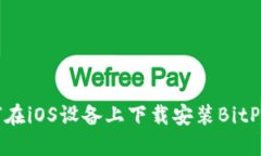 如何在iOS设备上下载安装