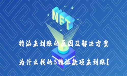 特派未到账的原因及解决方案

为什么我的B特派款项未到账？