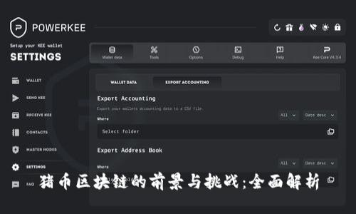 猪币区块链的前景与挑战：全面解析