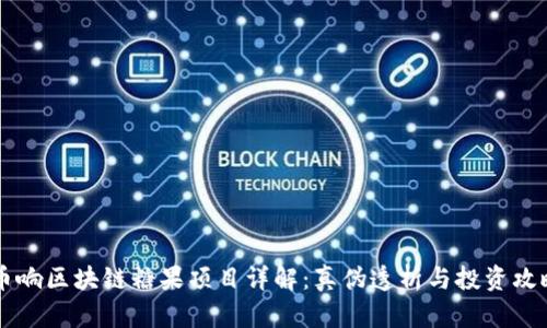 币响区块链糖果项目详解：真伪透析与投资攻略