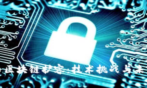 比特币区块链扩容：技术挑战与未来趋势