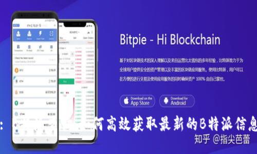 : B特派查询：如何高效获取最新的B特派信息