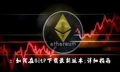 : 如何在BitP下载最新版本：详细指南